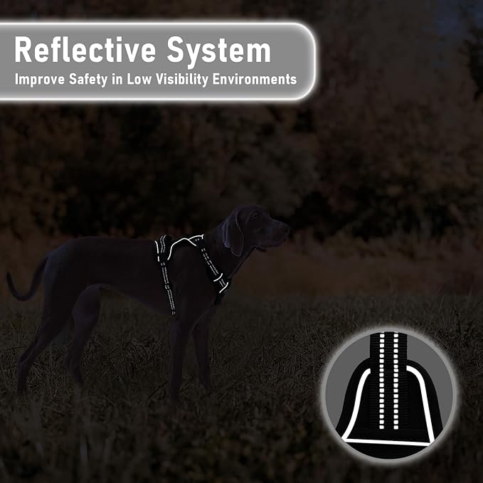 Extra Small Dog Vest Harness, No-Pull Pet Harness with 2 Leash Clips, Adjustable Soft Padded Dog Vest, Reflective No-Choke Pet Oxford Vest with Easy Control Handle for XSmall Breeds, Black, XS
