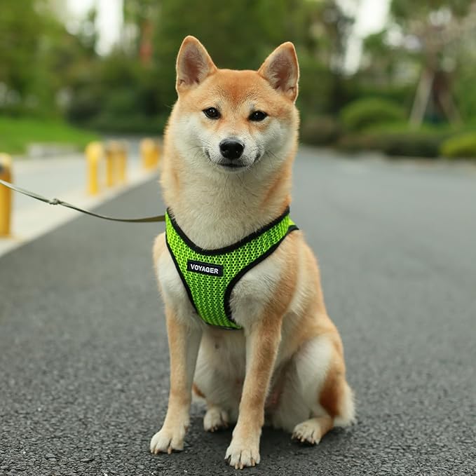 Voyager Step-in Air All Weather Mesh Harness and Reflective Dog 5 ft Leash Combo with Neoprene Handle, for Small, Medium and Large Breed Puppies by Best Pet Supplies - Lime Green (2-Tone), XL