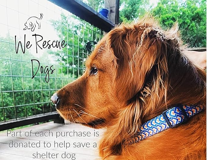 Lucky Love Dog Collars, Comfortable, Soft, Cute Dog Collar for Small Medium Large Dogs, Murphy, Medium