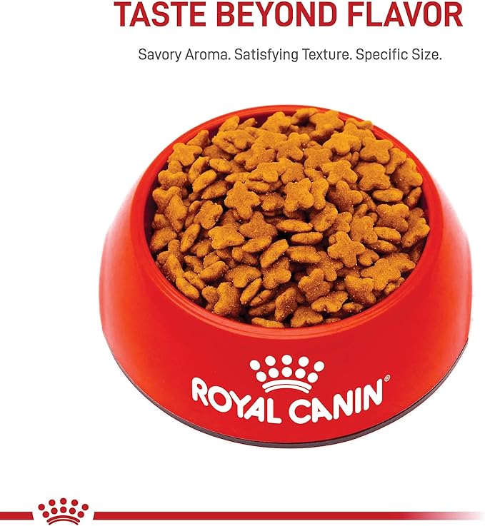 Royal Canin Size Health Nutrition Small 8+ Senior Dry Dog Food, 2.5 lb Bag