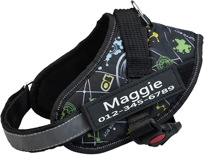 HOTGOL Custom No Pull Dog Harness with Personalize Name and Phone Number Tag,Reflective Breathable Adjustable Pet Vest for Small to Large Dogs