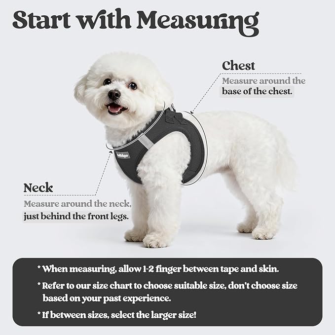 rabbitgoo Dog Harness Small Sized and Leash Set, Step in Soft Light Puppy Vest, Breathable Mesh Pet Harness, Reflective for Safe Easy Walking, Black XS