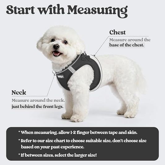 rabbitgoo Dog Harness Small Sized and Leash Set, Step in Soft Light Puppy Vest, Breathable Mesh Pet Harness, Reflective for Safe Easy Walking, Black XS