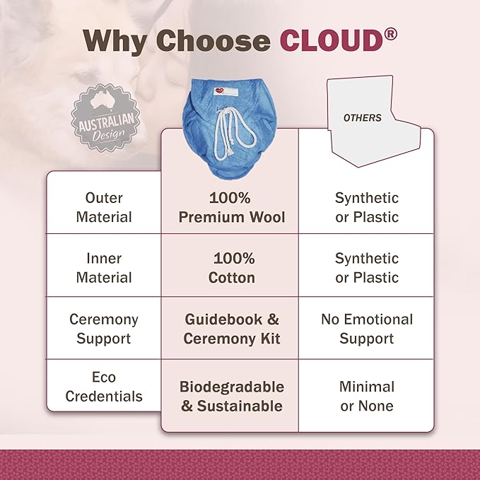 Cloud® Eco-Friendly Pet Burial & Cremation Ceremony Kit - Casket for Smaller Pets: Rabbits, Hamsters, Gerbils, Birds, Fish, Reptiles, Small Cats (Large, Light Blue)