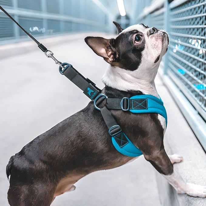 Gooby Escape Free Sport Harness - Blue, Medium - No Choke Step-in Patented Neoprene Small Dog Harness with Four-Point Adjustment - Perfect on The Go Dog Harness for Medium Dogs No Pull and Small Dogs