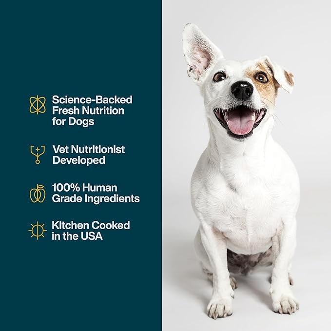 JustFoodForDogs JustFresh Home-Cooked Turkey Dog Food with No Preservatives, Resealable Packaging, Human Grade Wet Dog Food, 12 oz - 7 Pack