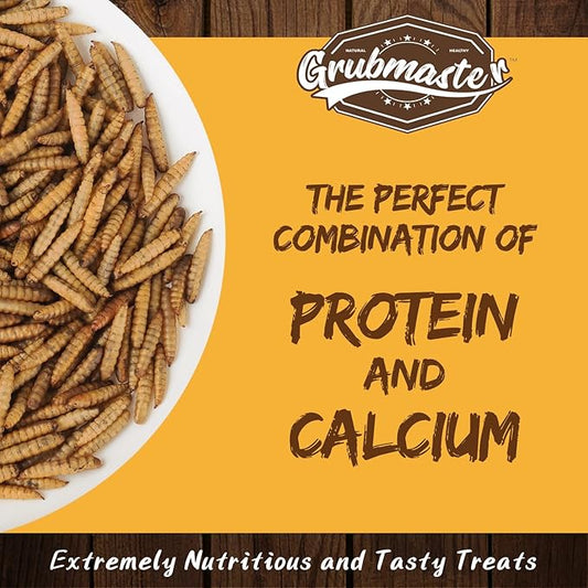 Dried Black Soldier Fly Larvae for Chickens, Natural Healthy Chicken Treats for Backyard Poultry - 10 lb. Bag