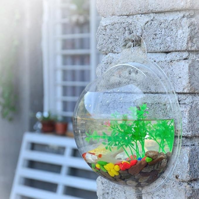Fish Bubbles - Wall Mounted Acrylic Fish Bowl