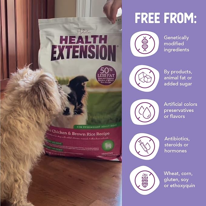Health Extension Lite Chicken & Brown Rice Dry Dog Food (4 lb / 1.81 kg) - Low-Fat Formula with Glucosamine, Probiotics & Omega 3 for Overweight, Spayed, Neutered, or Senior Dogs