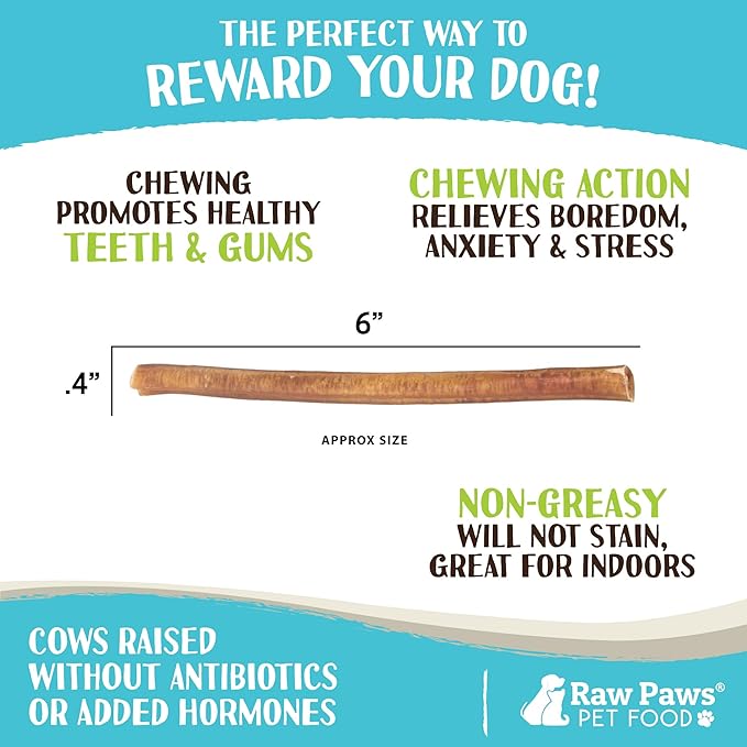 Raw Paws Thin Bully Sticks for Small Dogs, 6-Inch (15-Count) - Low Odor Bully Chews for Puppies - Free-Range Pizzle Sticks for Dogs - Single Ingredient Dog Chews - Rawhide Alternative - Long Lasting