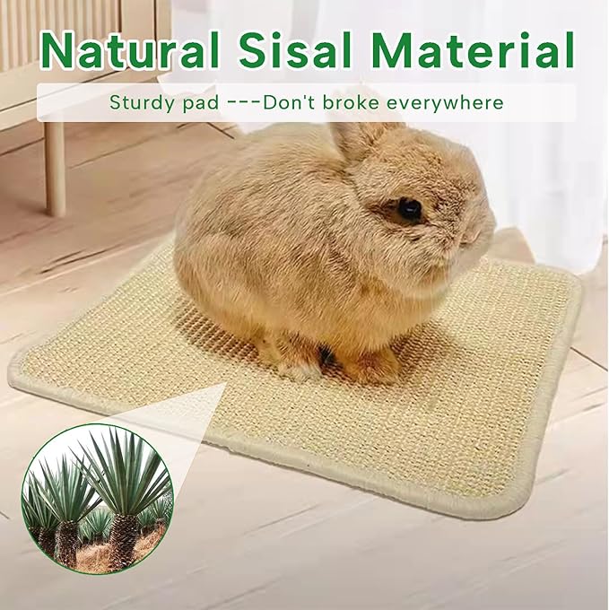 KEYIDE 2Pcs Rabbit Scratching Pad, Natural Sisal Bunny Scratch Mats for Nails Grinding Claw Boards for Cage Pet Guinea Pigs Chinchillas Rats Ferrets Sleeping Playing, 16"X12"