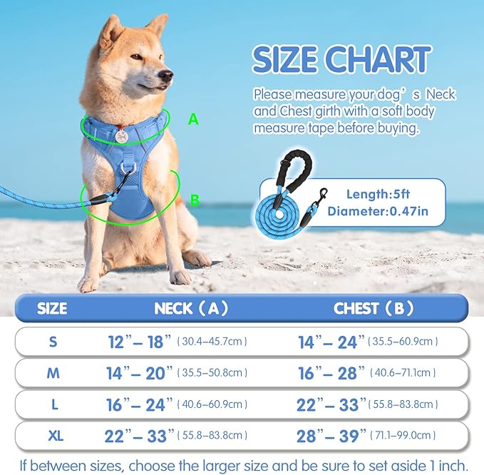 PoyPet No Pull Dog Harness and 5 Feet Leash Set, Release on Neck Reflective Adjustable Pet Vest, Front & Back 2 D-Ring and Soft Padded Pet Harness with Handle for Small to Large Dogs(Light Blue,XL)