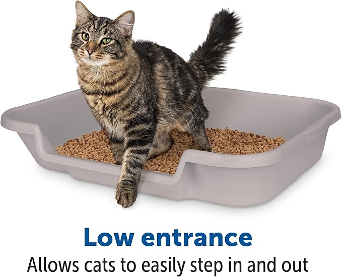 KittyGoHere Senior Cat Litter Box 1 Pack, Large Misty Gray Low Entrance Kitty Litter Box, Sized for Cats Comfort, Perfect for Senior and Arthritic Cats, Made in USA – Includes Long-Handle Jumbo Scoop
