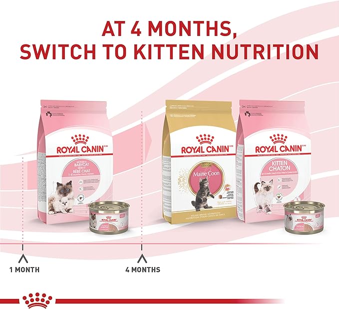 Royal Canin Feline Health Nutrition Mother & Babycat Queen Ultra Soft Mousse in Sauce Cat Food, 5.1 oz (Pack of 24)