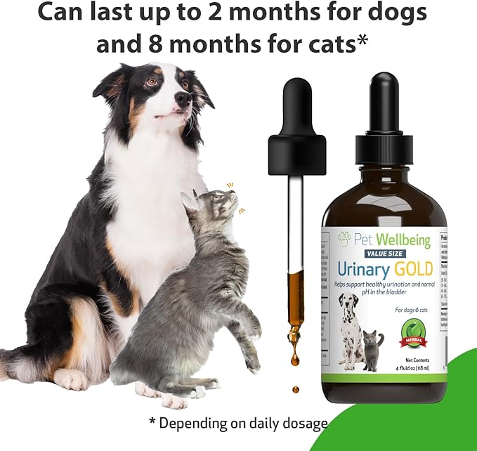 Pet Wellbeing Urinary Gold for Dogs - Vet-Formulated Multi-Herb Urinary Tract Support - Bladder Health & Urinary System Wellness - Holistic Dog Supplement - Liquid Formula 4 oz (118 ml)