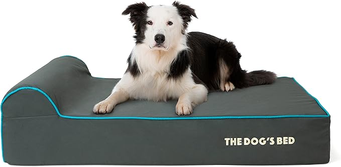 The Dog’s Bed Orthopedic Headrest Dog Bed Large Grey/Blue 40x25, Memory Foam, Pain Relief for Arthritis, Hip & Elbow Dysplasia, Post Surgery, Lameness, Veterinary Approved, Waterproof Washable Cover