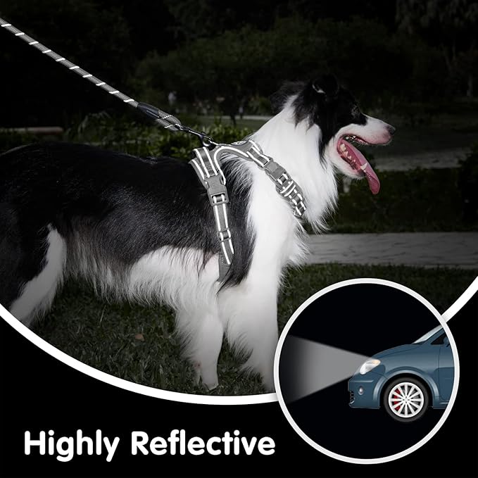 PoyPet No Pull Dog Harness and 5 Feet Leash Set, Release on Neck Reflective Adjustable Pet Vest, Front & Back 2 D-Ring and Soft Padded Pet Harness with Handle for Small to Large Dogs(Grey,S)