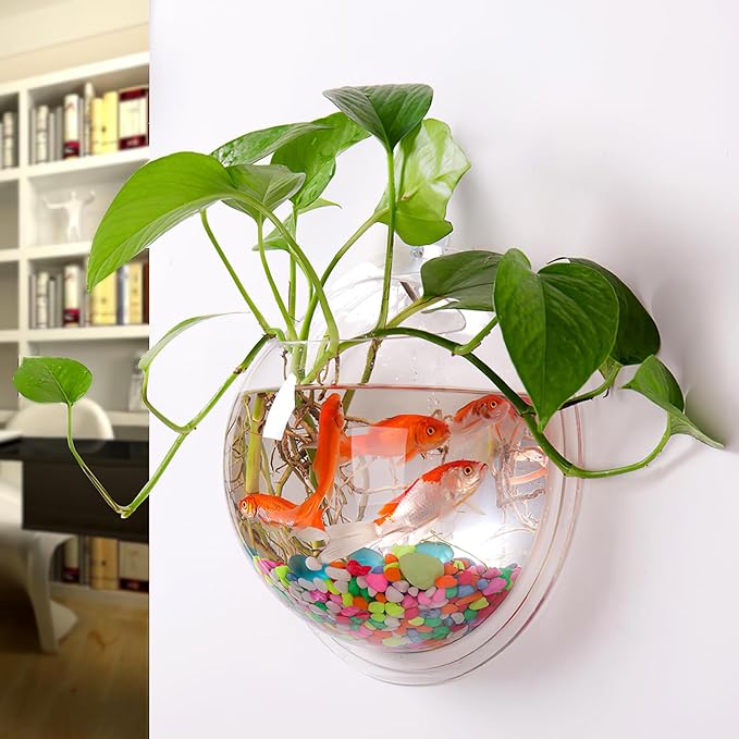 Mipcase Transparent Creative Wall Mounted Acrylic Fish Bowl Hanging Aquarium for Home Decor Ideal for Fish Aquatic Plants Stylish Wall Tank Decoration
