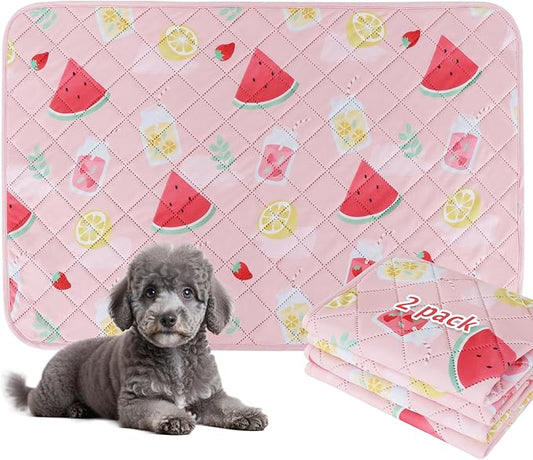 BVAGSS Washable Pee Pads for Dogs, 2 Pack Reusable Leakproof Puppy Wee Wee Pad, Non-Slip Waterproof Pet Training Pads, Super Absorbent Whelping Pads XH081 (Watermelon, 41X41 Inch (Pack of 2))