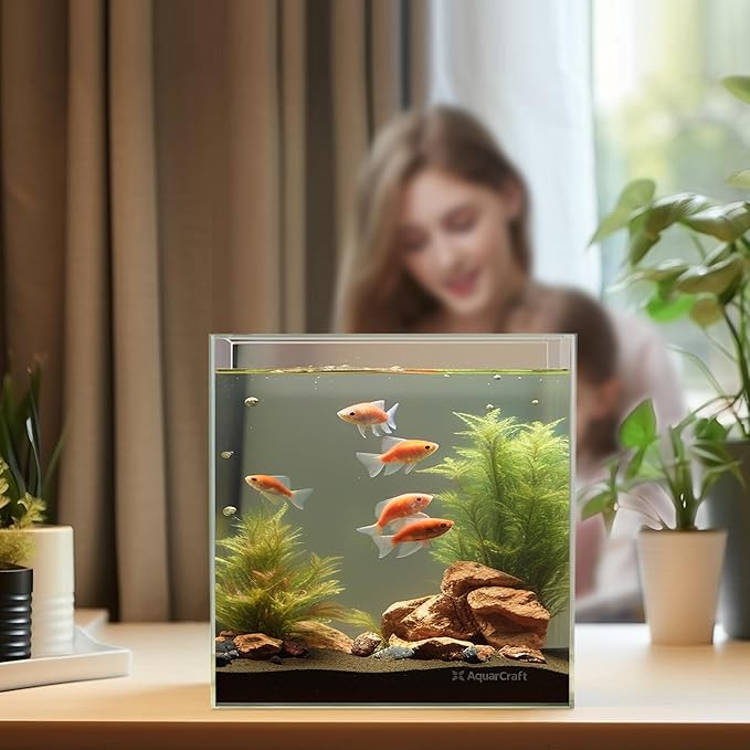 Ultra Clear Glass Fish Tank 4.1 Gallon, 6mm Thickened Rimless Aquarium Tank Low Iron, Cube Aquarium 10in x 10in x 10in