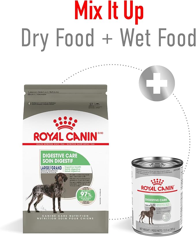 Royal Canin Large Digestive Care Dry Dog Food, 30 lb bag