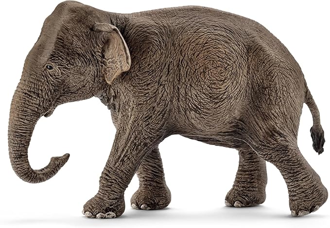 Schleich Wild Life - 5 PC Jungle Animals Figurines Toy Set with Elephant, Panda, Tiger, Parrot, and Baby Monkey Toys for Boys and Girls - Realistic Animal Figures Playset for Kids Ages 3+ - 77588