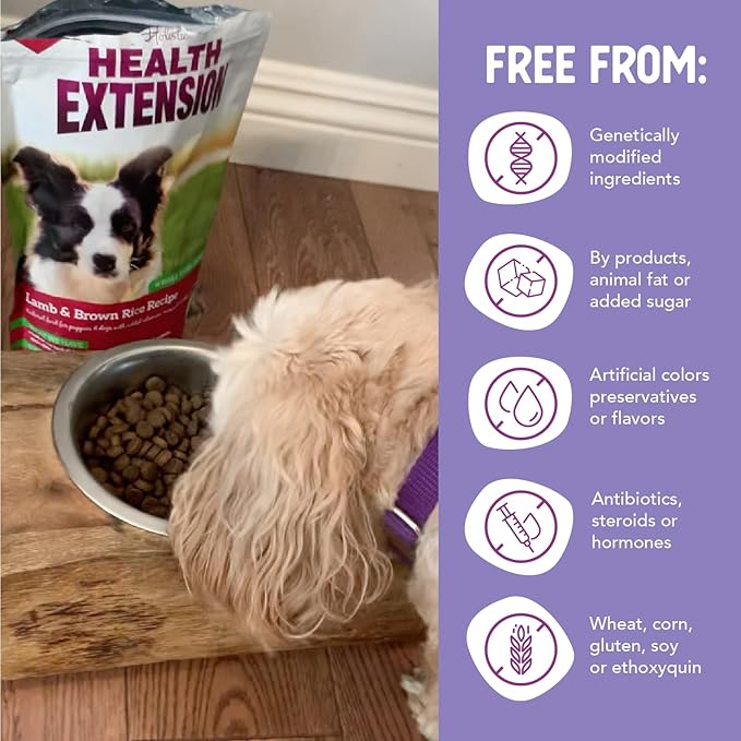 Health Extension Lamb & Brown Rice Dry Dog Food (1 lb / 0.45 kg) - Nutritious Free-Range Lamb Formula with Probiotics, Antioxidants & Omega 3 for Dogs with Sensitive Digestion