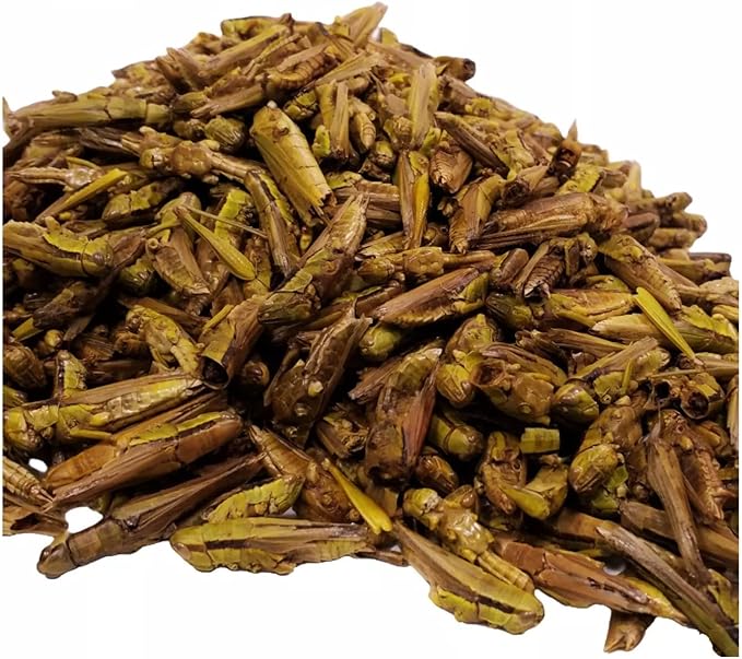 Aquatic Foods Inc. Grasshoppers - Freeze Dried Grasshoppers for Tropical Fish, Reptiles, Turtles, Tortoises Frogs, Hamsters, Birds, Rodents…14oz Lg Jar