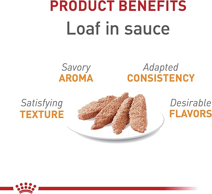 Royal Canin Feline Care Nutrition Hair & Skin Care Adult Loaf in Sauce Cat Food, 5.1 oz (Pack of 24)