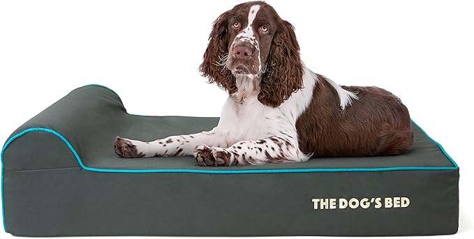 The Dog’s Bed Orthopedic Headrest Dog Bed Large Grey/Blue 40x25, Memory Foam, Pain Relief for Arthritis, Hip & Elbow Dysplasia, Post Surgery, Lameness, Veterinary Approved, Waterproof Washable Cover