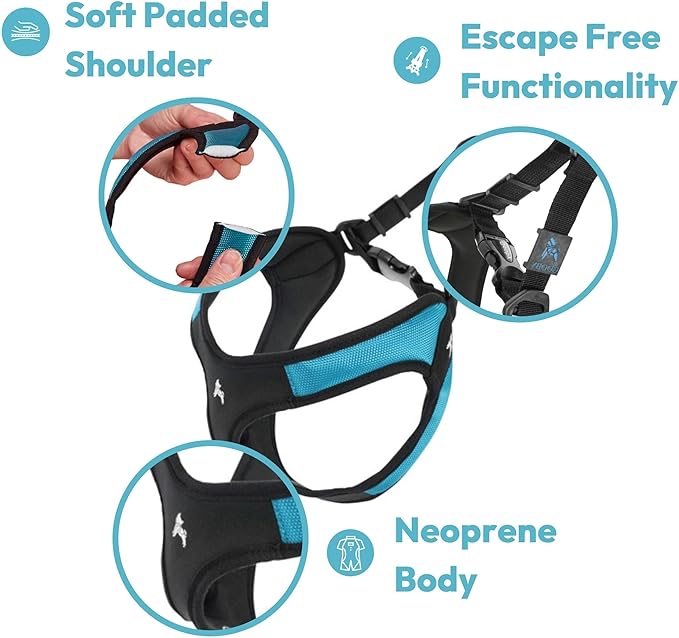 Gooby Escape Free Easy Fit Harness - Orange, Large - No Pull Step-in Patented Small Dog Harness with Quick Release Buckle - Perfect On The Go No Pull Harness for Small Dogs or Medium Dog Harness