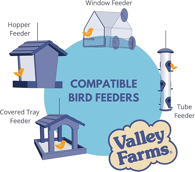 Valley Hearty Delight Wild Bird Food for Outside Feeders, No-Mess Wild Bird Seed with Sunflower Hearts & Peanut Kernels, Filler Free Bird Seed Perfect for Outdoor Patios, (4 LBS)