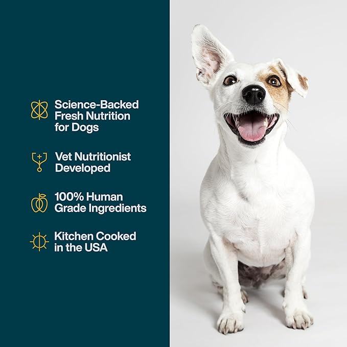 JustFoodForDogs JustFresh Home-Cooked Chicken Dog Food with No Preservatives, Resealable Packaging, Human Grade Wet Dog Food, 12 oz - 7 Pack