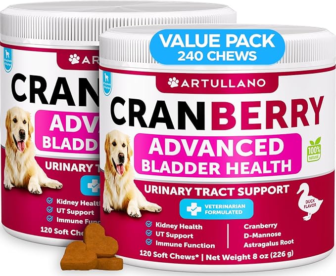 Dog UTI Treatment - Cranberry Supplement and Bladder Control for Dogs - UTI Chewable Treats (2 Pack) - 240 Chews for Kidney Support - Bladder Stones - Urinary Tract Infection Incontinence Treatment