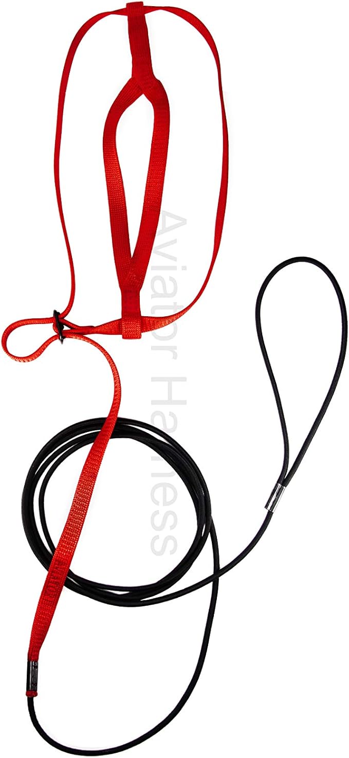 The AVIATOR Pet Bird Harness and Leash: Large Red