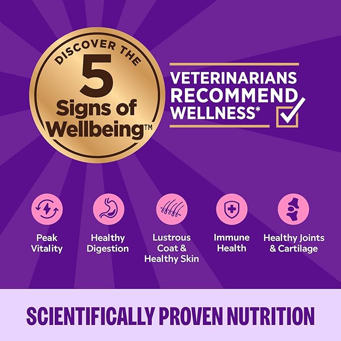 Wellness Complete Health Sliced Adult Wet Cat Food, Natural, Protein-Rich, Grain Free, 5.5 Ounce, 24 Pack, (Turkey & Salmon Entrée)