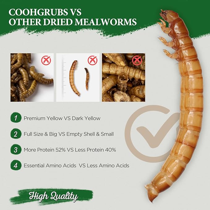 Dried Mealworms for Birds, Non-GMO High Protein Chicken Treats & Poultry Feed, 10 lb Bag