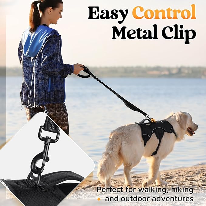 rabbitgoo Escape Proof Dog Harness, Soft Padded Full Body Pet Harness, Reflective Adjustable No Pull Vest with Lift Handle and Leash Clip for Large Dogs Walking Hiking Training, M, Black