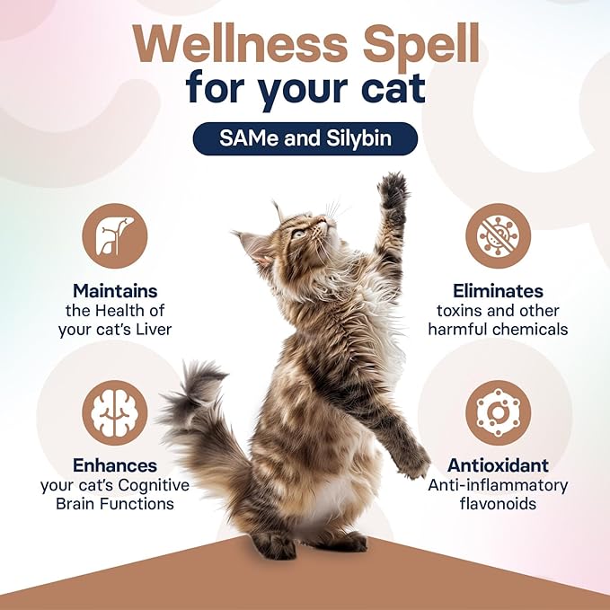 Liver Health Supplement for Cats - Milk Thistle for Cats Liver Support with S-Adenosylmethionine (Same) & Silybin - 30 Tablets