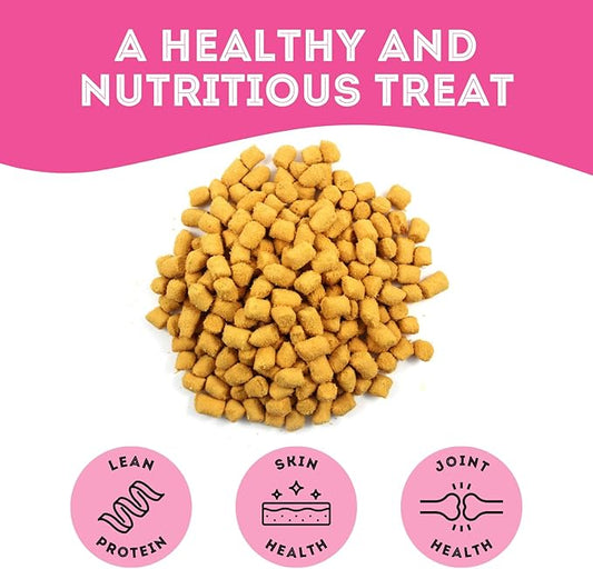 Dehydrated Wild Salmon Treats for Dogs & Cats (1.76 oz, Pack of 1) Single Ingredient to Maintain Nutrients Vitamins and Healthy Oils Made in Canada