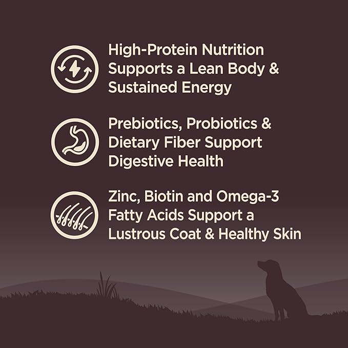 Wellness CORE Dry Dog Food, Grain-Free, High Protein, Natural, Original Turkey & Chicken Recipe, (4-Pound Bag)