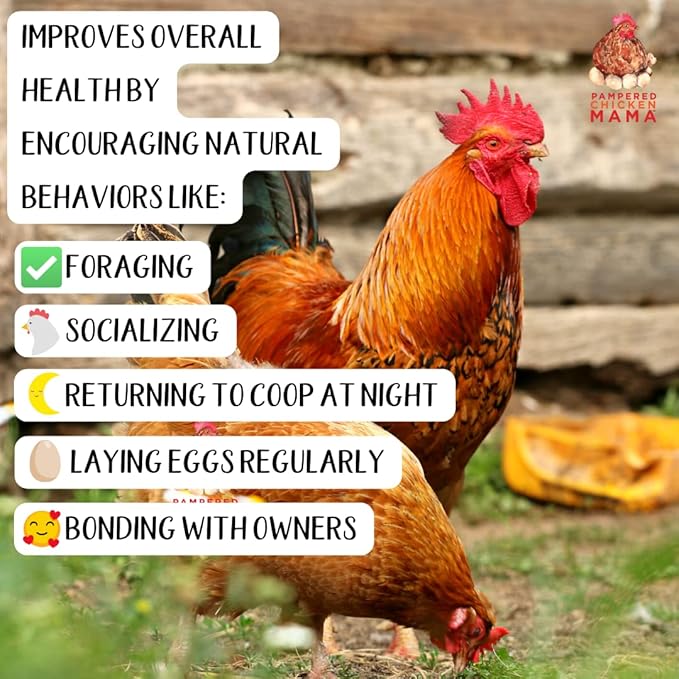 Pampered Chicken Mama Organic Pumpkin Seed Delight Backyard Chicken Supplement Scratch Treat Feed, Supplies, & Poultry Vitamins with Herbs for Healthy Hens (2 pounds)