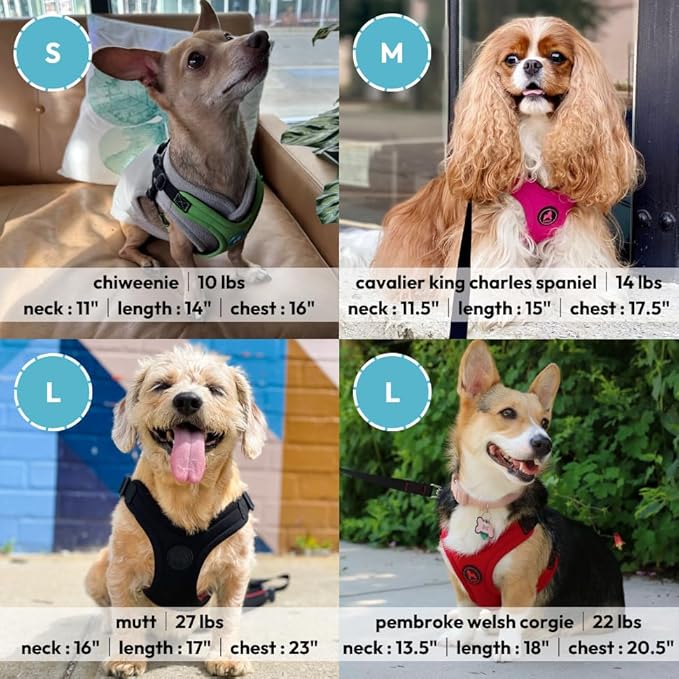 Gooby Escape Free Sport Harness - Blue, Medium - No Choke Step-in Patented Neoprene Small Dog Harness with Four-Point Adjustment - Perfect on The Go Dog Harness for Medium Dogs No Pull and Small Dogs