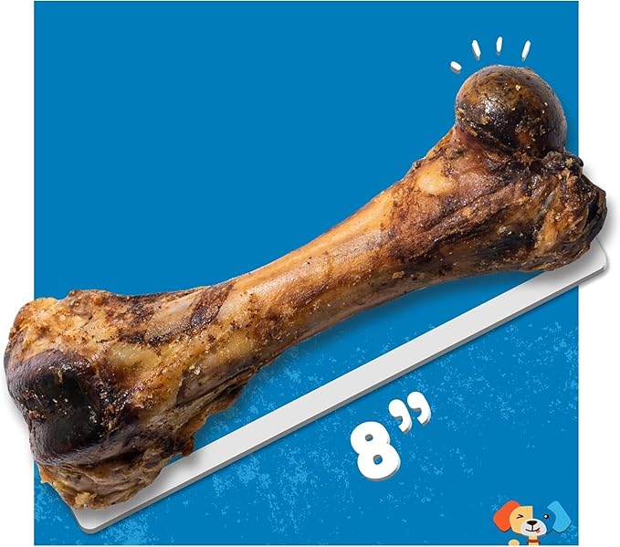Jack&Pup Pork Femur Bones for Dogs Long Lasting | Gourmet Beef Dog Bones | Single Ingredient, Savory, Rawhide Free (2 Pack)