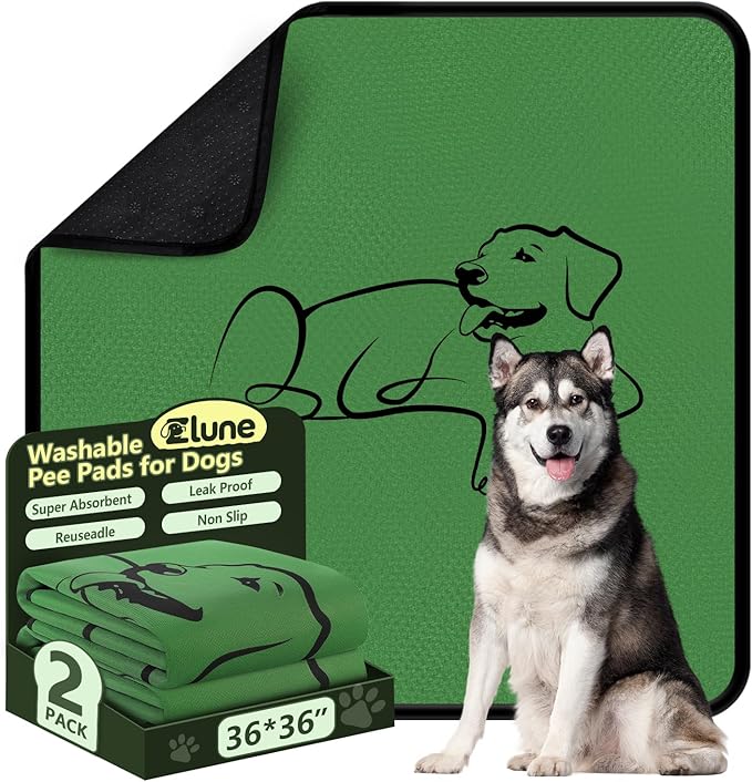 2 Pack Washable Pee Pads for Dogs 36"x36", Reusable Training Puppypads Absorbency Non-Slip & Leak-Proof for Pet Whelping Box Playpen Crate Sofa Bed Floors (Green)
