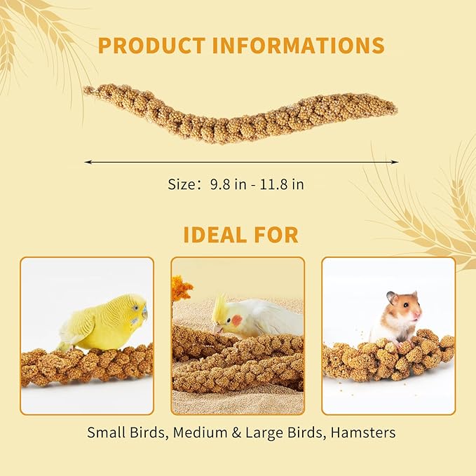 Fhiny Millet Spray for Birds 4.4LB Natural Sun-Dried Millet for Birds Original Parakeet Food & Treats Spray for Parakeets Parrots Cockatiels Lovebirds Finches Budgies Hamsters