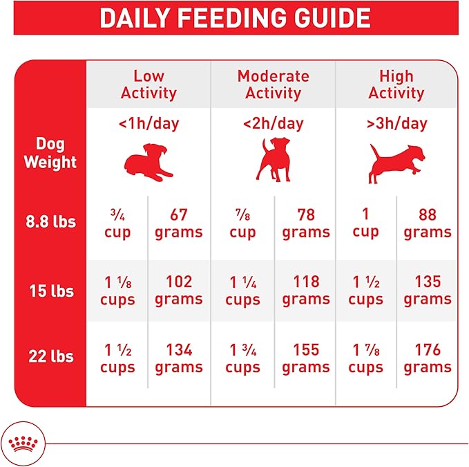 Royal Canin Size Health Nutrition Small 8+ Senior Dry Dog Food, 2.5 lb Bag