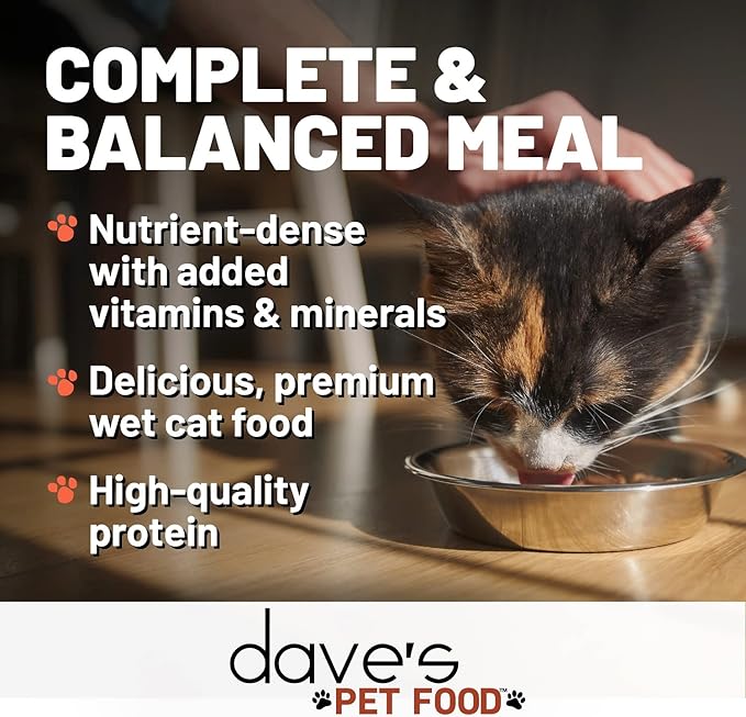 Dave's Pet Food Grain Free Wet Cat Food (Chicken & Lamb Dinner Pate), Made in Canada Naturally Healthy Canned Cat Food, Added Vitamins & Minerals, Wheat & Gluten-Free, 5.5 oz Cans (Case of 24)