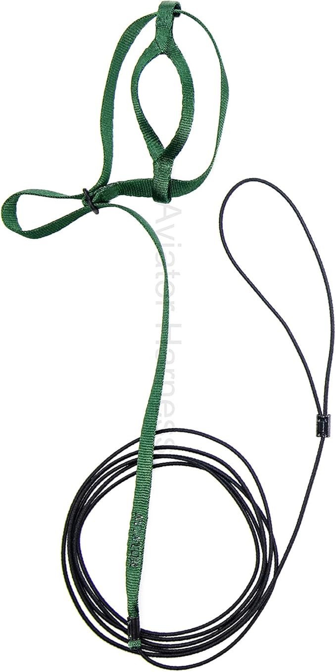 The AVIATOR Pet Bird Harness and Leash: Petite Green