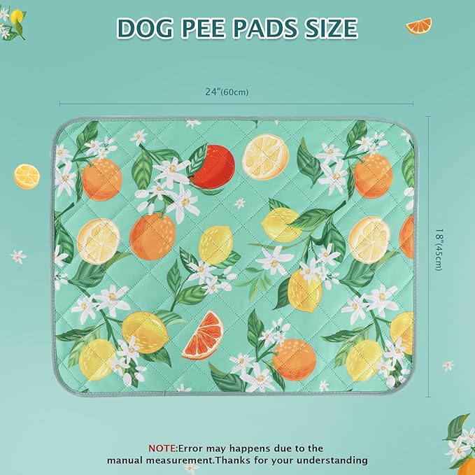 BVAGSS Washable Pee Pads for Dogs, 2 Pack Reusable Leakproof Puppy Wee Wee Pad, Non-Slip Waterproof Pet Training Pads, Super Absorbent Whelping Pads XH081 (Green Lemon, 24X18 Inch (Pack of 2))